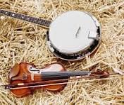 Traditional, Roots,  Folk